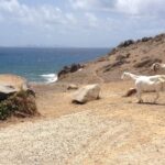 Guana Bay Coastal Hike - A Deep Dive into the Guana Bay Coastal Hike