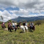 Guanacaste full day: Explore Nature, horse, sloth and waterfalls - Exploring Guanacaste: A Full-Day Dive into Nature and Culture