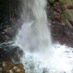 Guanacaste Waterfalls Tour - Practical Details and Tips
