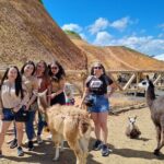 Guatape Private Tour. Farm, Boat Ride, La Piedra and more... - The Sum Up: Who Is This Tour Best For?