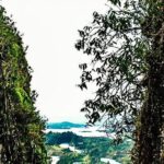 Guatape Town, Coffee farm and the Rock - A Deep Dive into Your Guatapé Adventure