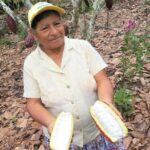 Guayaquil to Cuenca one-way tour with Cajas Park and a Cacao Farm visit - Practical insights and considerations