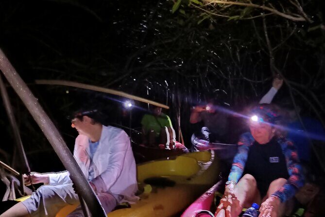 Guided Bioluminescence Night Kayaking Adventure in Belize - Exploring Belize’s Nighttime Lagoon: An Authentic Experience