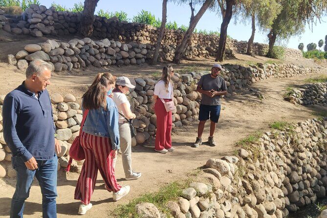 Guided Cantalloc Aqueduct Tour in Nazca - Small Group - Who Would This Tour Suit Best?