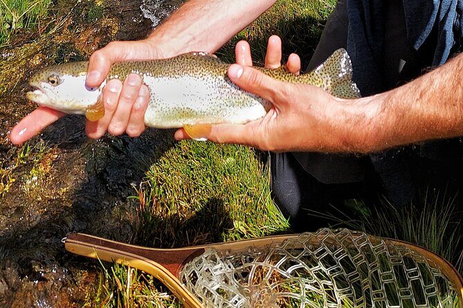 Guided Fly Fishing Tour in Estancia La Carrera - FAQs