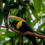 Guided hike in the Metropolitan Park of Panama - Practical Tips for Your Visit