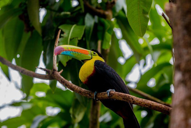 Guided hike in the Metropolitan Park of Panama - Practical Tips for Your Visit