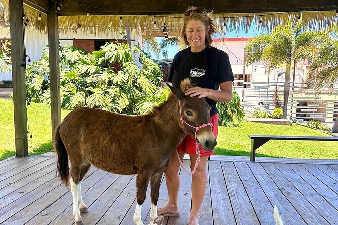 Guided Hike with Miniature Donkeys to a Secluded Beach