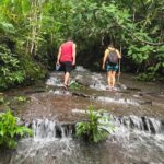 Guided hiking Tour by the Mystic Ebano Rainforest in Costa Rica - A Close Look at the Hacienda Ébano Guided Hike Experience
