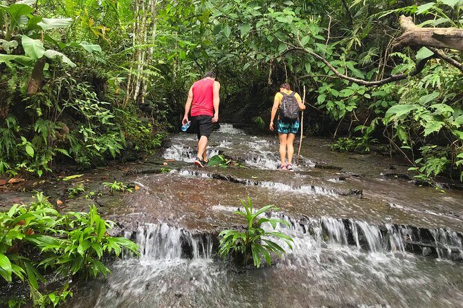 Guided hiking Tour by the Mystic Ebano Rainforest in Costa Rica - A Close Look at the Hacienda Ébano Guided Hike Experience