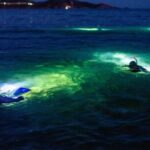 Guided Night Snorkeling in Roatan - Authentic Experiences & Real Traveler Feedback