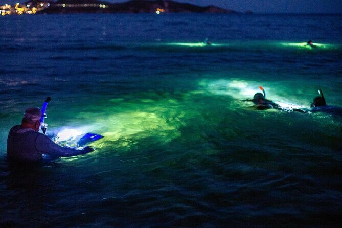 Guided Night Snorkeling in Roatan - Authentic Experiences & Real Traveler Feedback