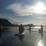 Guided paddleboarding (SUP) mangrove ECO tour for beginners - A Detailed Look at the Mangrove SUP Eco Tour