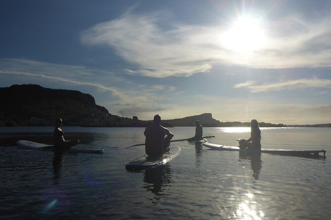 Guided paddleboarding (SUP) mangrove ECO tour for beginners - A Detailed Look at the Mangrove SUP Eco Tour