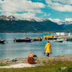 Guided Penguin Watching Tour and Centolla Route - Why This Tour Offers Great Value