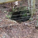 Guided Primeval Nature Walk Tour - Who Will Love This Tour?