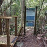 Guided Primeval Nature Walk Tour in Primeval Forest National Park - Who Should Book This?