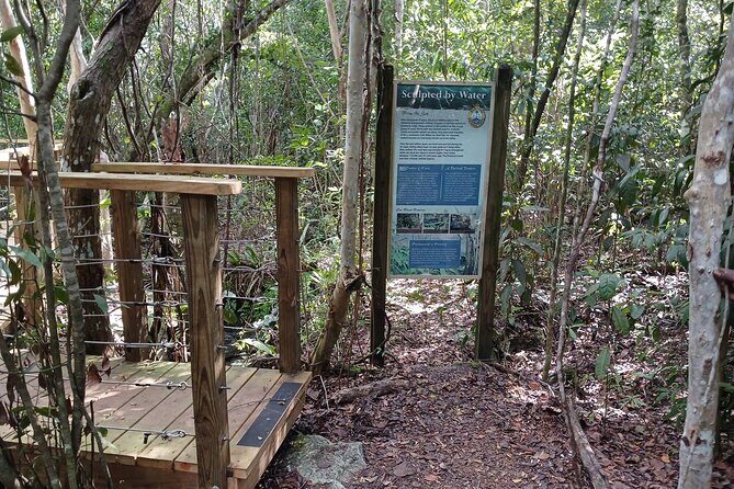 Guided Primeval Nature Walk Tour in Primeval Forest National Park - Who Should Book This?