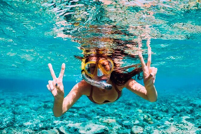 Guided Saona Island Tour in Punta Cana - Who Should Book This Tour?