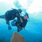 Guided Shore Dive for Certified Divers with Scubaçao (1 tank) - Who Will Love This Tour?