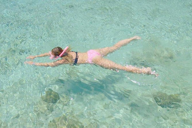 Guided Snorkel Tour at the Best Reef from shore on Curacao - Blue Bay Beach - Final Thoughts: Is This the Right Fit for You?