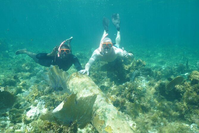 Guided Snorkeling at the Anchor and Cannon Reef in Negril - Who Will Love This Tour?