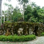 Guided Tour Botanical Garden & Lage Park in the Heart of Rio - The Value of the Tour