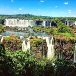 Guided Tour: Brazilian Falls and Bird Park - Final Thoughts