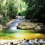 Guided Tour in Tijuca Forest with transfer - Who Should Consider This Tour?