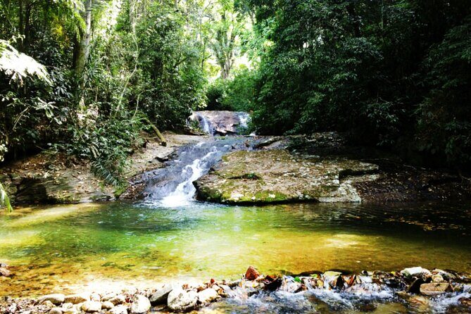 Guided Tour in Tijuca Forest with transfer - Who Should Consider This Tour?