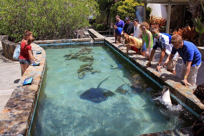 Guided Tour of Coral World Ocean Park & Happy Hour - Who Will Love This Tour?