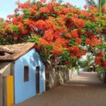 Guided Tour of the Beaches in Caraíva - Porto Seguro - Exploring the Route and What You Can Expect