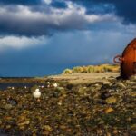 Guided Tour of the City of Ushuaia - Transport, Timing, and Group Size