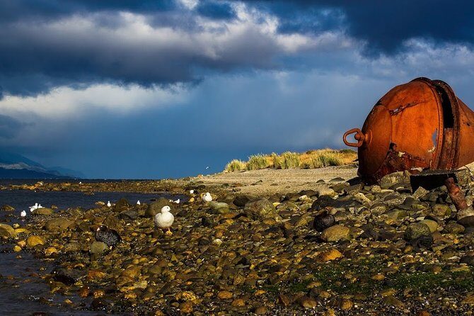 Guided Tour of the City of Ushuaia - Transport, Timing, and Group Size