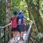 Guided Tour of the National Park Manuel Antonio - Final Thoughts: Is It Worth It?