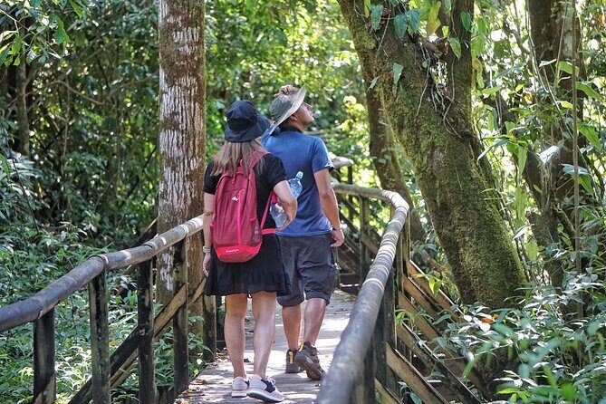 Guided Tour of the National Park Manuel Antonio - Final Thoughts: Is It Worth It?