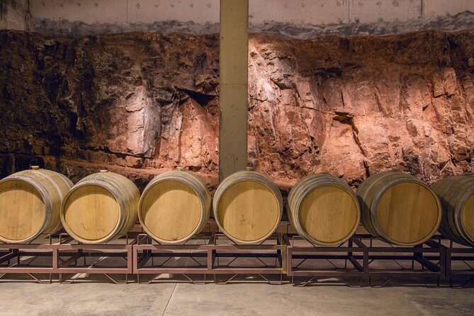 Guided Tour of the Winery Viña Edén - Why This Tour Works Well