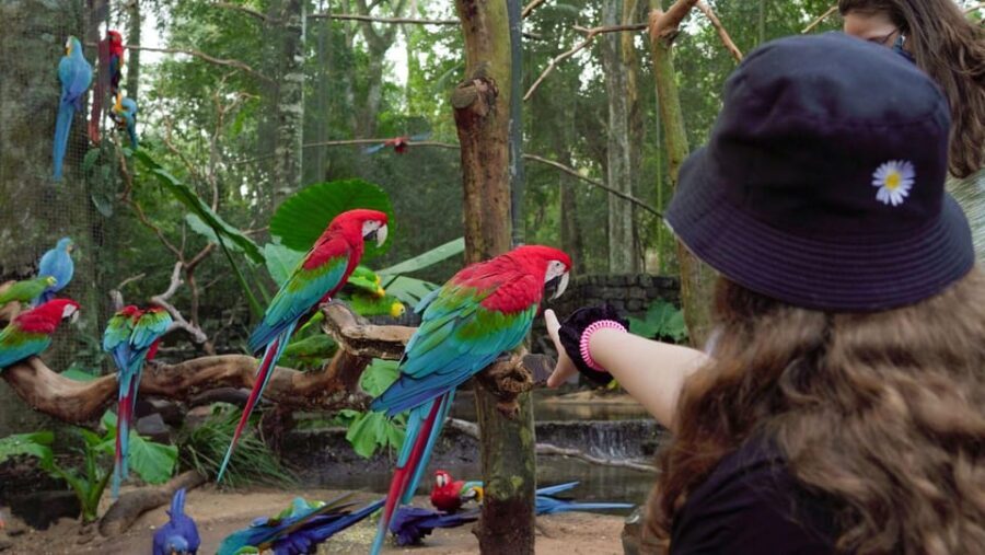 Guided Tour to the Bird Park - VIP Tour - Who Will Love This Tour?