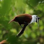 Guided Walk to the Curi Cancha Reserve - The Itinerary in Detail