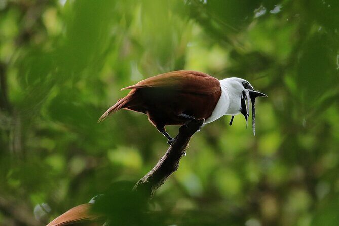 Guided Walk to the Curi Cancha Reserve - The Itinerary in Detail