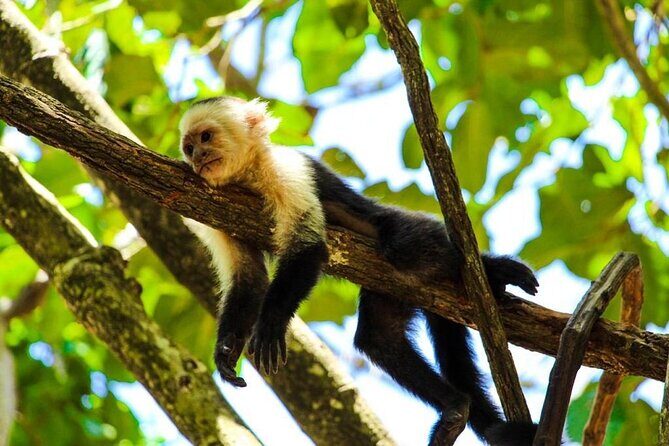 Gumbalimba Park & Tour - Who Should Book This Tour?