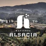 Hacienda Alsacia Starbucks Coffe Tour - Why This Tour Is Worth It