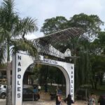 Hacienda Napoles: Full-Day Private Tour from Medellin - Exploring Hacienda Nápoles: An In-Depth Review