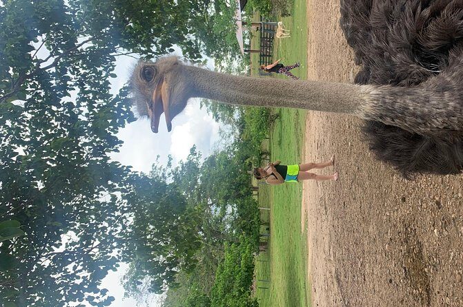 Hacienda Nápoles tour - Frequently Asked Questions