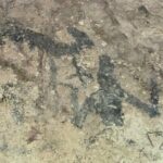 Haitian National Park and fell up - A Detailed Look at the Experience