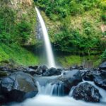 Half Day Adventure from Arenal -2 tours in 1, 4 options to choose - Who Would Love This Tour?