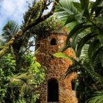 Half Day Adventure Private Tour in El Yunque Rainforest - Authentic Feedback from Travelers