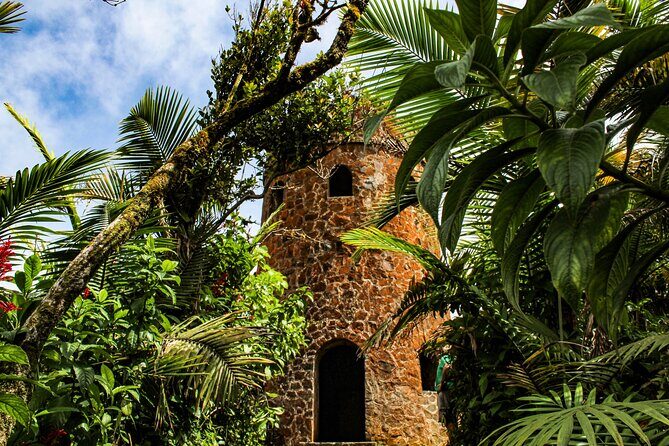 Half Day Adventure Private Tour in El Yunque Rainforest - Authentic Feedback from Travelers