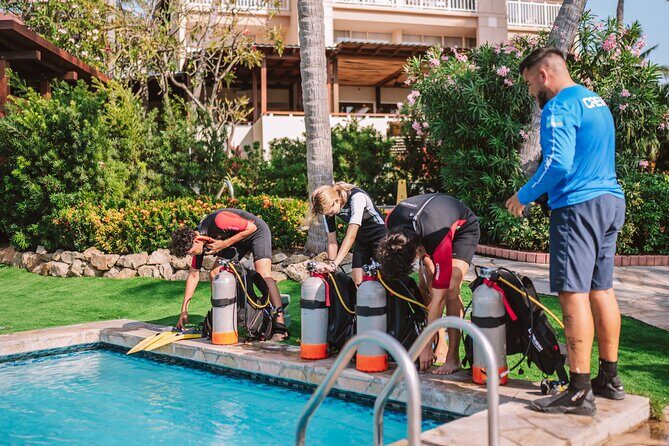 Half-Day Aruba Intro Diving Course for Beginners - Whats Included and What to Consider