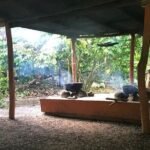 Half-Day Authentic Safari and Traditional Combo - Who Would Love This Tour?